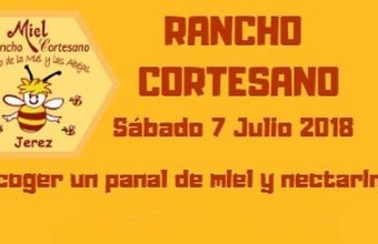 7 de julio. Jerez. Recolección de miel y nectarinas en Rancho Cortesano