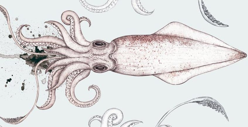 Del 12 al 14 de octubre: Jornadas del calamar de potera en la Venta Melchor