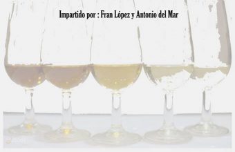 Del 23 de abril a 23 de mayo. Jerez. Curso de especialista en vinos del Marco de Jerez y Sanlúcar