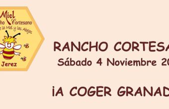 4 de noviembre. Jerez. Taller de granadas y apicultura en Rancho Cortesano