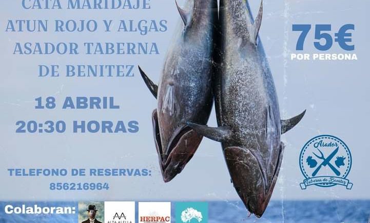 Cata maridaje de atún rojo y algas en La Taberna de Benítez de San Fernando