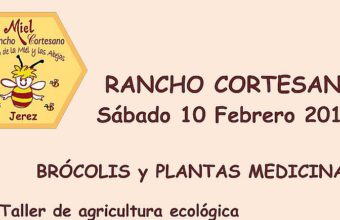 10 y 11 de febrero. Jerez. Taller de brócoli y apicultura en Rancho Cortesano