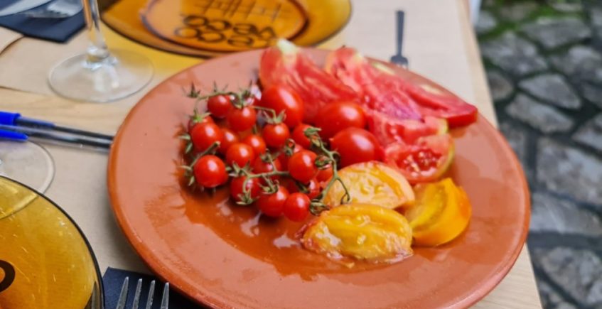 Cata de tomates en Recoveco de Algeciras