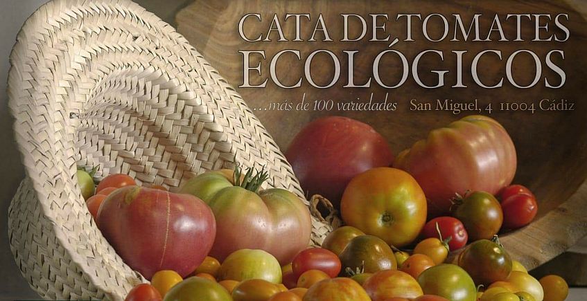22 de agosto. Cádiz. Cata de tomates ecológicos en La Huerta Ecotienda