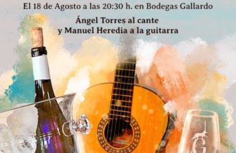 Cata maridaje con flamenco en Bodegas Gallardo de Vejer