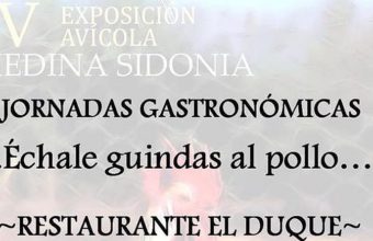 23 al 25 de febrero. Medina Sidonia. Jornadas gastronómicas Échale guindas al pollo