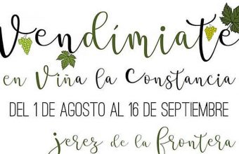 Del 1 de agosto al 16 de septiembre. Jerez. actividades en Viña La Constancia