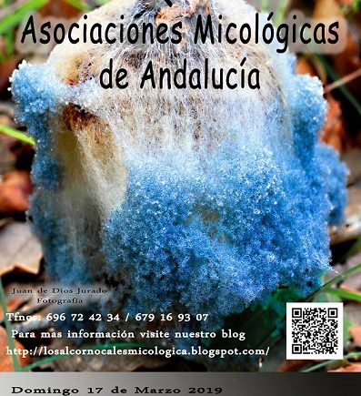 16 y 17 de marzo. Benalup-Casas Viejas. VII Quedada de asociaciones micológicas de Andalucía