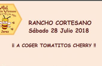 28 de julio. Jerez. Recogida de actividades en Rancho Cortesano