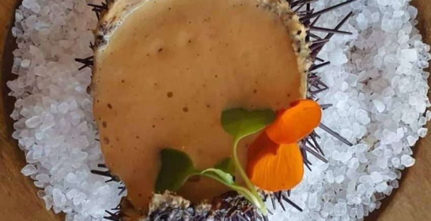 Tartar de erizos con emulsión de langostinos de El Árbol de Chiclana