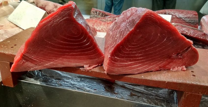 Dónde comprar atún rojo fresco de la temporada 2019 en la provincia de Cádiz