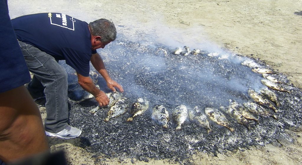 Los mariscadores Ricardo y Juan Ariza se encargaron de preparar el pescado. Aqui aparece asándose en los rescoldos de haber quemado las plantas que crecen en torno a los esteros. Foto: Cosasdecome