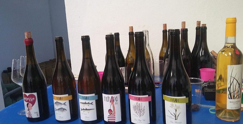 Las bodegas Vinifícate inician la venta directa de cajas de vinos a precio especial para sufragar la vendimia