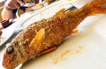 Los salmonetes fritos de El Albero en Bolonia