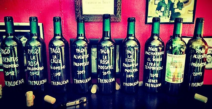 Los vinos secretos de Trebujena