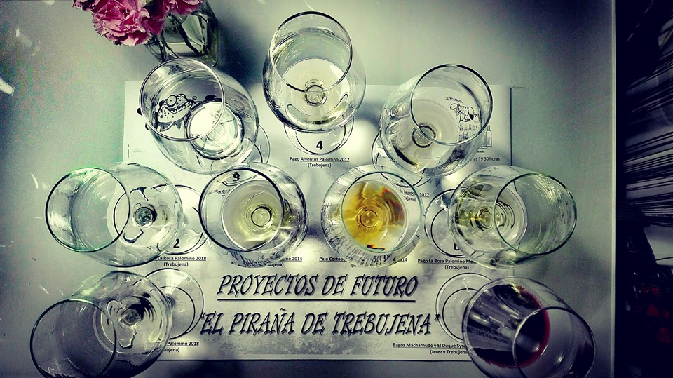 Tanto la imagen superior como esta son de The Wine Room Club de Vinos de San Fernando y corresponden a la cata de los vinos de El Piraña.