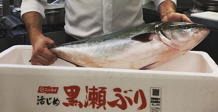 El pescado japonés que logró morir en paz