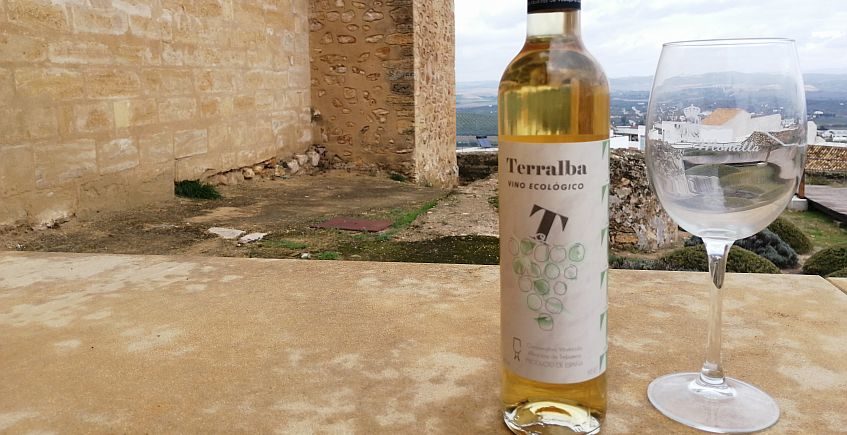El vino Terralba Ecológico de Cooperativa Albarizas de Trebujena, ganador de Ecoracimo 2020