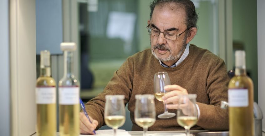 Enrique Montero, director técnico de Viñas de Williams & Humbert 847