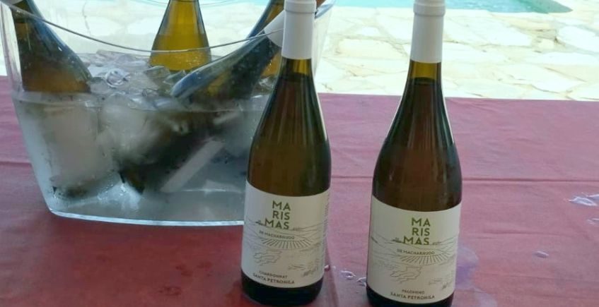 La bodega Santa Petronila presenta sus nuevos vinos de pasto, un Chardonnay y un Palomino de cepas viejas