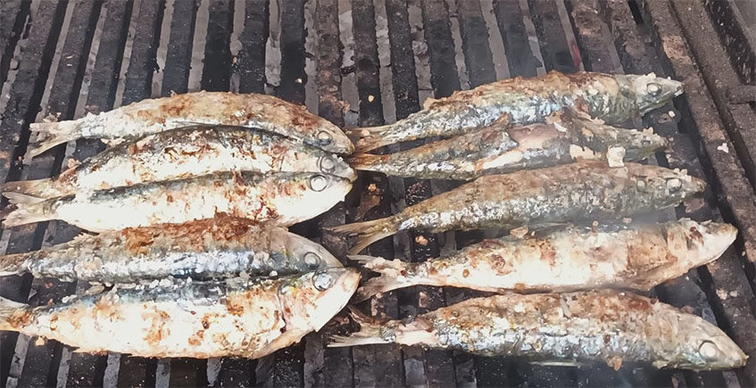 Chozo El Cai, el rey de las sardinas en Conil