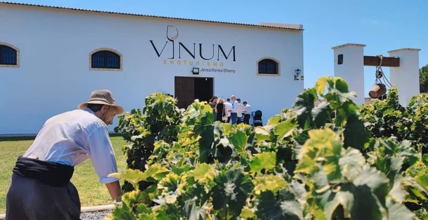 Vinum, nuevo complejo enoturístico en Chipiona