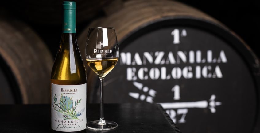 La manzanilla Salicornia culmina la gama de vinos ecológicos de Barbadillo