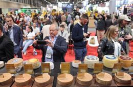 Siete quesos gaditanos, entre los mejores de España