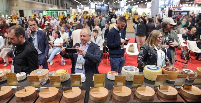 Siete quesos gaditanos, entre los mejores de España